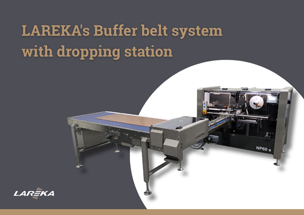 Buffer Belt With Dropping Station